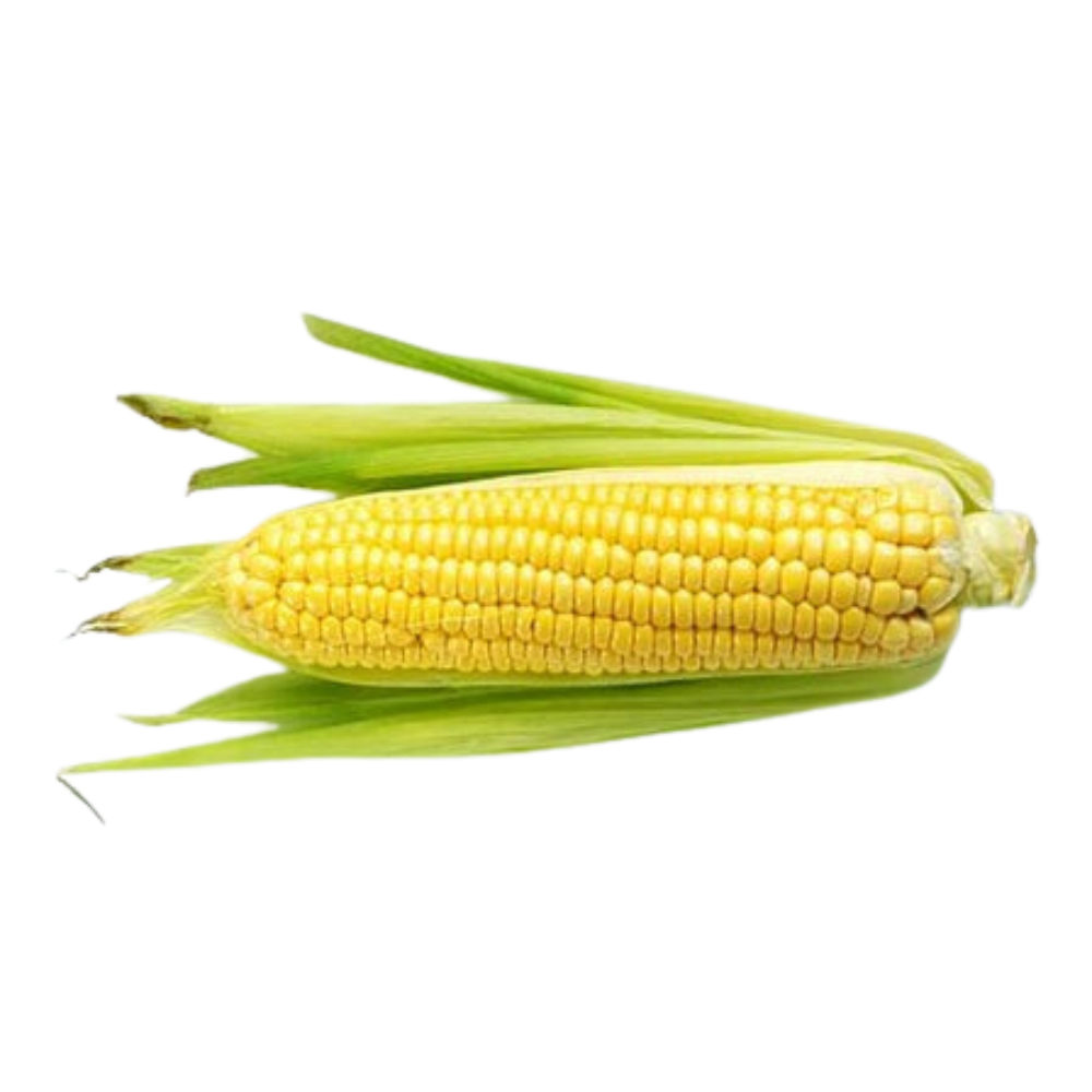 Corn Cob