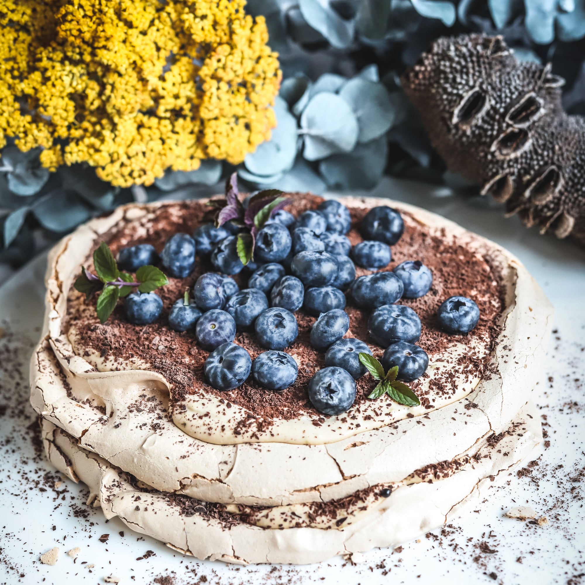 Wattleseed & Chocolate Meringue Tiramisu Dessert Kit