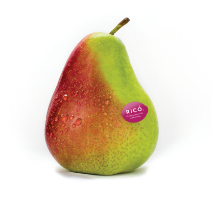 Pear - Rico