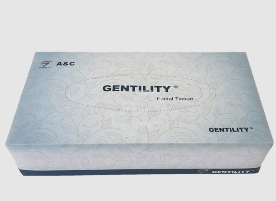 Gentility Premium Quality Facial Tissue 200 sheets 2 ply 32 boxes/ctn