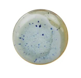 Abyssal Ceramic Dish