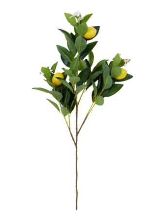 Lemon Stem