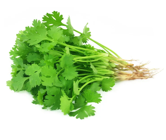 Coriander/bunch