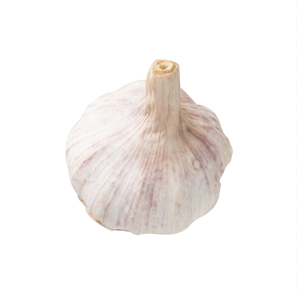 Garlic/each