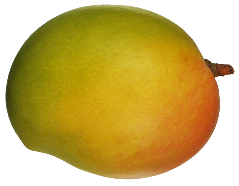 Mango/each