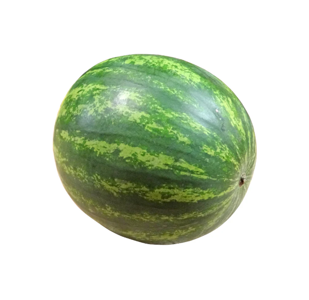 Watermelon - Whole