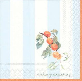 Manor Road Cocktail Napkin Making Memories 20pk