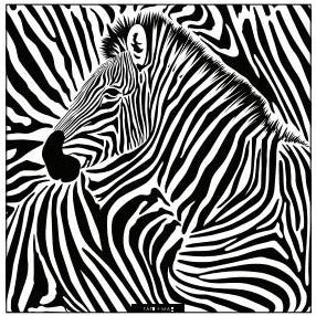 Black Zebra Square Paper 10pk