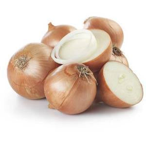 Onion Brown/each