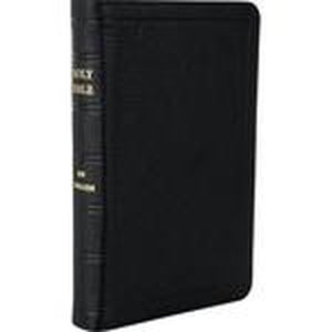 JN Darby Bible Family Semi-yap Binding No 35 includes extra notes