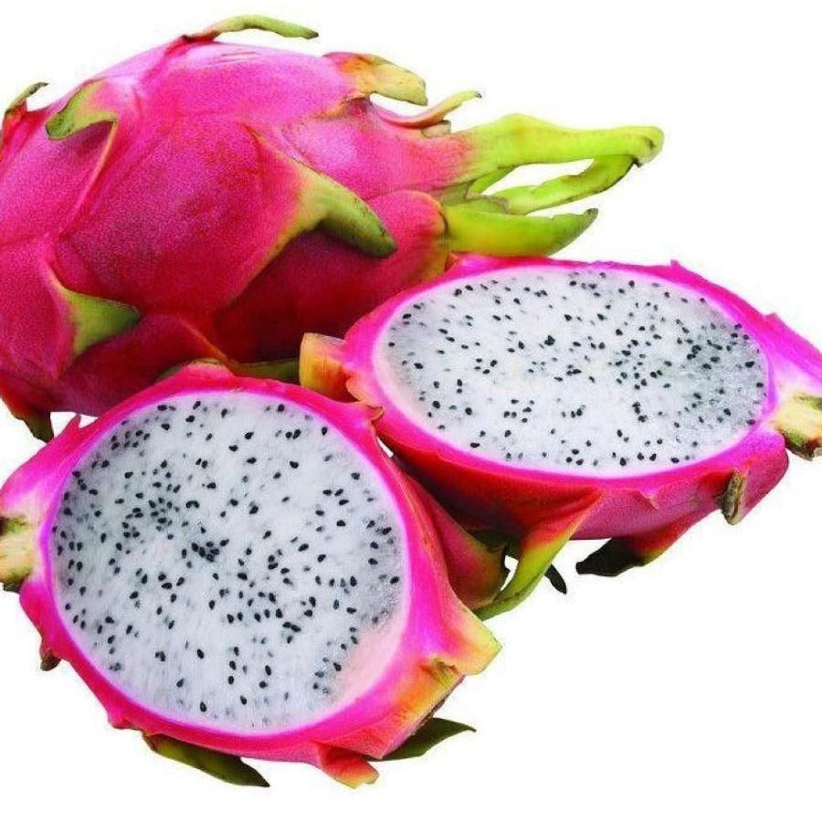 Dragon Fruit /each