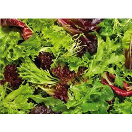 Salad Leaves Mixed 100-150g