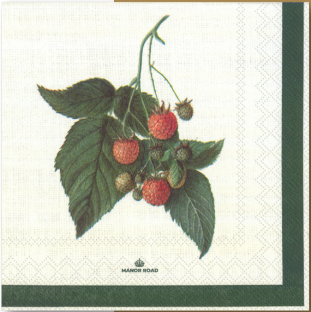 Manor Road Luncheon Napkin Raspberry Harvest 20pk