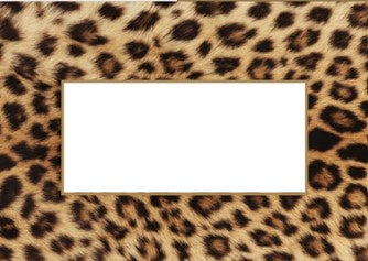 Manor Road Place Cards Leopard 45pk