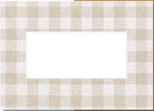 Manor Road Place Cards Natural Gingham 45pk