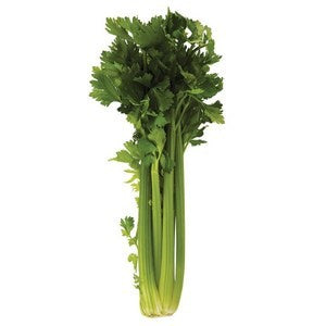 Celery - Whole