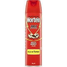 Mortein Fast Knockdown Insect Spray 300g