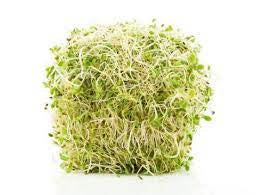 Alfalfa Sprouts - 125g Punnet