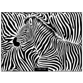 Black Zebra Small Rectangle Paper 10pk
